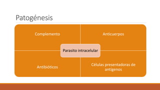 Patogénesis
Complemento Anticuerpos
Antibióticos
Células presentadoras de
antígenos
Parasito intracelular
 