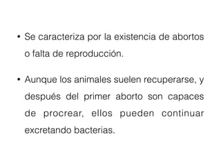 • Se caracteriza por la existencia de abortos
o falta de reproducción.
• Aunque los animales suelen recuperarse, y
después del primer aborto son capaces
de procrear, ellos pueden continuar
excretando bacterias.