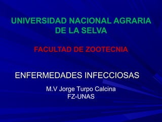 UNIVERSIDAD NACIONAL AGRARIA
DE LA SELVA
FACULTAD DE ZOOTECNIA
ENFERMEDADES INFECCIOSASENFERMEDADES INFECCIOSAS
M.V Jorge Turpo Calcina
FZ-UNAS
 