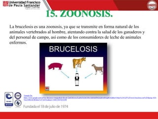 15. ZOONOSIS.
La brucelosis es una zoonosis, ya que se transmite en forma natural de los
animales vertebrados al hombre, atentando contra la salud de los ganaderos y
del personal de campo, así como de los consumidores de leche de animales
enfermos.
Tomado De:
https://www.google.com/url?sa=i&source=images&cd=&ved=2ahUKEwix5Lad4sTkAhUMw1kKHaIfDQoQjRx6BAgBEAQ&url=https%3A%2F%2Fwww.brucelosis.net%2F&psig=AOv
Vaw3JfB2AClR5dnw7cY7y6YGx&ust=1568153674255290
 