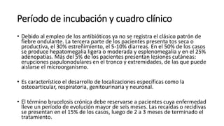 Período de incubación y cuadro clínico
• Debido al empleo de los antibióticos ya no se registra el clásico patrón de
fiebre ondulante. La tercera parte de los pacientes presenta tos seca o
productiva, el 30% estreñimiento, el 5-10% diarreas. En el 50% de los casos
se produce hepatomegalia ligera o moderada y esplenomegalia y en el 25%
adenopatías. Más del 5% de los pacientes presentan lesiones cutáneas:
erupciones papulonodulares en el tronco y extremidades, de las que puede
aislarse el microorganismo.
• Es característico el desarrollo de localizaciones específicas como la
osteoarticular, respiratoria, genitourinaria y neuronal.
• El término brucelosis crónica debe reservarse a pacientes cuya enfermedad
lleve un período de evolución mayor de seis meses. Las recaídas o recidivas
se presentan en el 15% de los casos, luego de 2 a 3 meses de terminado el
tratamiento.
 