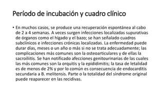 Período de incubación y cuadro clínico
• En muchos casos, se produce una recuperación espontánea al cabo
de 2 a 4 semanas. A veces surgen infecciones localizadas supurativas
de órganos como el hígado y el bazo; se han señalado cuadros
subclínicos e infecciones crónicas localizadas. La enfermedad puede
durar días, meses o un año o más si no se trata adecuadamente; las
complicaciones más comunes son la osteoarticulares y de ellas la
sacroiliitis. Se han notificado afecciones genitourinarias de las cuales
las más comunes son la orquitis y la epididimitis; la tasa de letalidad
es de menos de 2% y por lo común es consecuencia de endocarditis
secundaria a B. melitensis. Parte o la totalidad del síndrome original
puede reaparecer en las recidivas.
 
