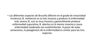 • Las diferentes especies de Brucella difieren en el grado de invasividad
virulencia; B. melitensis es la más invasiva y produce la enfermedad
más severa; B. suis es muy invasiva y generalmente produce
enfermedad supurativa; B. abortus es la menos invasiva y causa
enfermedad moderada con autolimitación. A pesar de estas
variaciones, la patogénesis de la enfermedad es similar para las tres
especies.
 