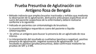 Prueba Presuntiva de Aglutinación con
Antígeno Rosa de Bengala
• Método indirecto que emplea brucelas inactivadas y teñidas que mediante
la observación de la aglutinación, demuestra anticuerpos específicos en el
suero del paciente sospechoso de la enfermedad y deberá realizarse
conforme a lo siguiente:
• Indicada en pacientes con sintomatología de brucelosis.
• La muestra biológica requerida es suero del paciente o líquido
cefalorraquídeo
• Se utiliza un antígeno para buscar la presencia de un aglutinado de rosa
intenso.
• La interpretación del resultado es cualitativo (positivo o negativo), positivo
presencia de aglutinación, negativo ausencia de aglutinación. Si el
resultado es positivo (prueba presuntiva), debe confirmase mediante las
pruebas de SAT y 2-ME.
 