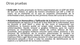Otras pruebas
• ELISA IgM: Prueba practicada en forma experimental por el LESP del SESA
de San Luis Potosí, se aplica de manera simultánea con SAT y 2-ME en
suero, en el momento en el que se sospecha clínicamente de la
enfermedad o bien, durante los tres primeros meses del curso de la misma.
• Aislamiento en Hemocultivo y Tipificación de la Bacteria: Existen mayores
probabilidades de lograrlo al inicio de la fase febril de la enfermedad, pero
no durante el pico febril y antes de dar inicio al tratamiento con
antibióticos; la muestra puede ser sangre total, medula ósea, líquido
cefalorraquídeo, líquido sinovial o ganglios linfáticos, para los cuatro
primeros se recomienda utilizar medio de cultivo bifásico de Ruiz-
Castañeda, para ganglios linfáticos solución salina estéril, posterior a seis
semanas de incubación de la muestra seleccionada se siembra en
cualquiera de los siguientes medios de cultivo: agar sangre o agar soya
tripticasa (TSA) o agar MacConkey durante 4-5 días; para que el técnico del
laboratorio proceda a llevar a cabo los estudios de identificación de la
especie y su tipificación de las brucelas aisladas.
 