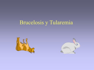Brucelosis y Tularemia
 