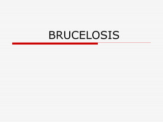 BRUCELOSIS
 