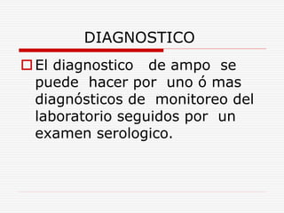 DIAGNOSTICO
El diagnostico de ampo se
puede hacer por uno ó mas
diagnósticos de monitoreo del
laboratorio seguidos por un
examen serologico.
 