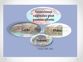 Secreciones
        vaginales post
        partum-aborto


Leche                           Orina


          Semen

           Fuente: CSIC, 2012
 