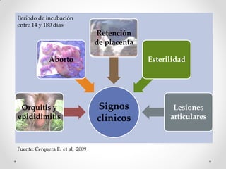 Período de incubación
entre 14 y 180 días
                                  Retención
                                  de placenta

              Aborto                            Esterilidad




 Orquitis y                       Signos               Lesiones
epididimitis                      clínicos            articulares



Fuente: Cerquera F. et al, 2009
 
