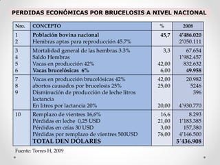 PERDIDAS ECONÓMICAS POR BRUCELOSIS A NIVEL NACIONAL

Nro.   CONCEPTO                                    %         2008
1      Población bovina nacional                    45,7    4’486.020
2      Hembras aptas para reproducción 45.7%                2’050.111
3      Mortalidad general de las hembras 3.3%        3,3       67.654
4      Saldo Hembras                                        1’982.457
5      Vacas en producción 42%                     42,00      832.632
6      Vacas brucelósicas 6%                        6,00       49.958
7      Vacas en producción brucelósicas 42%        42,00      20.982
8      abortos causados por brucelosis 25%         25,00        5246
9      Disminución de producción de leche litros                 396
       lactancia
       En litros por lactancia 20%                 20,00   4´930.770
10     Remplazo de vientres 16,6%                   16,6        8.293
       Pérdidas en leche 0,25 USD                  21,00    1’183.385
       Pérdidas en crías 30 USD                     3,00      157,380
       Pérdidas por remplazo de vientres 500USD    76,00    4’146.500
       TOTAL DEN DÓLARES                                   5´436.908
Fuente: Torres H, 2009
 