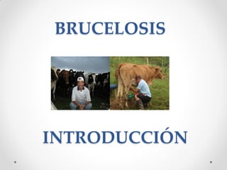 BRUCELOSIS




INTRODUCCIÓN
 