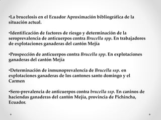 •La brucelosis en el Ecuador Aproximación bibliográfica de la
situación actual.

•Identificación de factores de riesgo y determinación de la
seroprevalencia de anticuerpos contra Brucella spp. En trabajadores
de explotaciones ganaderas del cantón Mejía

•Prospección de anticuerpos contra Brucella spp. En explotaciones
ganaderas del cantón Mejía

•Determinación de inmunoprevalencia de Brucella ssp. en
explotaciones ganaderas de los cantones santo domingo y el
Carmen

•Sero-prevalencia de anticuerpos contra brucella ssp. En caninos de
haciendas ganaderas del cantón Mejía, provincia de Pichincha,
Ecuador.
 