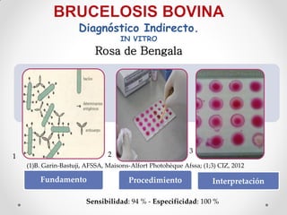Diagnóstico Indirecto.
                                    IN VITRO
                           Rosa de Bengala




                                2                           3
1
    (1)B. Garin-Bastuji, AFSSA, Maisons-Alfort Photohèque Afssa; (1;3) CIZ, 2012

        Fundamento                     Procedimiento                Interpretación

                        Sensibilidad: 94 % - Especificidad: 100 %
 