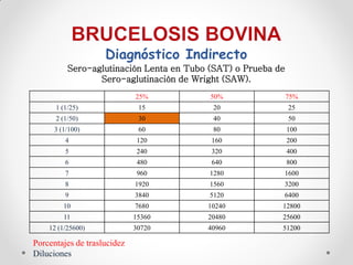 Diagnóstico Indirecto
          Sero-aglutinación Lenta en Tubo (SAT) o Prueba de
                 Sero-aglutinación de Wright (SAW).
                             25%          50%                 75%
      1 (1/25)                15           20                 25
      2 (1/50)                30           40                 50
      3 (1/100)               60           80                 100
         4                    120         160                 200
         5                    240         320                 400
         6                    480         640                 800
         7                    960         1280            1600
         8                   1920         1560            3200
         9                   3840         5120            6400
         10                  7680        10240            12800
         11                  15360       20480            25600
    12 (1/25600)             30720       40960            51200

Porcentajes de traslucidez
Diluciones
 