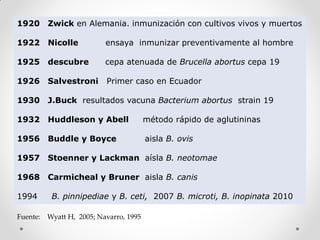 1920      Zwick en Alemania. inmunización con cultivos vivos y muertos

1922      Nicolle          ensaya inmunizar preventivamente al hombre

1925      descubre         cepa atenuada de Brucella abortus cepa 19

1926      Salvestroni      Primer caso en Ecuador

1930      J.Buck resultados vacuna Bacterium abortus strain 19

1932      Huddleson y Abell              método rápido de aglutininas

1956      Buddle y Boyce                 aisla B. ovis

1957      Stoenner y Lackman aísla B. neotomae

1968      Carmicheal y Bruner aisla B. canis

1994       B. pinnipediae y B. ceti, 2007 B. microti, B. inopinata 2010

Fuente:   Wyatt H, 2005; Navarro, 1995
 
