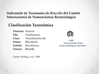 Subcomité de Taxonomía de Brucella del Comité
Internacional de Nomenclatura Bacteriológica

Clasificación Taxonómica
   Dominio:    Bacteria
   Filo:       Protebacteria
   Clase:      Proteobacteria alfa
                                                IUMS
   Orden:      Rhizobiales                Internacional Union
   Familia:    Brucellaceae          of Microbiological Societies
   Género:     Brucella


   Fuente: Halling; et al, 2009
 