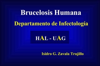 H A L - U A G Brucelosis Humana Departamento de Infectología Isidro G. Zavala Trujillo 