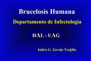 HAL - UAG
Brucelosis Humana
Departamento de Infectología
Isidro G. Zavala Trujillo
 