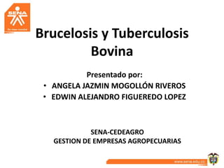 Brucelosis y Tuberculosis
         Bovina
           Presentado por:
 • ANGELA JAZMIN MOGOLLÓN RIVEROS
 • EDWIN ALEJANDRO FIGUEREDO LOPEZ



             SENA-CEDEAGRO
   GESTION DE EMPRESAS AGROPECUARIAS
 
