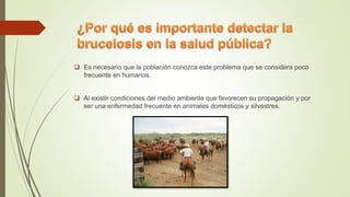  Es necesario que la población conozca este problema que se considera poco
frecuente en humanos.
 Al existir condiciones del medio ambiente que favorecen su propagación y por
ser una enfermedad frecuente en animales domésticos y silvestres.
 