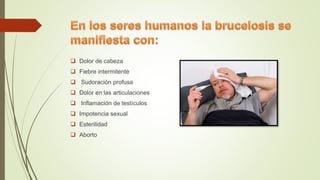  Dolor de cabeza
 Fiebre intermitente
 Sudoración profusa
 Dolor en las articulaciones
 Inflamación de testículos
 Impotencia sexual
 Esterilidad
 Aborto
 