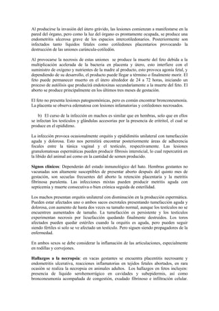 Al producirse la invasión del útero grávido, las lesiones comienzan a manifestarse en la
pared del órgano, pero como la luz del órgano es prontamente ocupada, se produce una
endometritis ulcerosa grave de los espacios intercotiledonarios. Posteriormente son
infectados tanto líquidos fetales como cotiledones placentarios provocando la
destrucción de las uniones carúncula-cotiledón.

Al provocarse la necrosis de estas uniones se produce la muerte del feto debida a la
multiplicación acelerada de la bacteria en placenta y útero, esto interfiere con el
suministro de oxígeno y nutrientes de la madre al producto, esto provoca agonía fetal, y
dependiendo de su desarrollo, el producto puede llegar a término o finalmente morir. El
feto puede permanecer muerto en el útero alrededor de 24 a 72 horas, iniciando un
proceso de autólisis que producirá endotoxinas secundariamente a la muerte del feto. El
aborto se produce principalmente en los últimos tres meses de gestación.

El feto no presenta lesiones patognomónicas, pero es común encontrar bronconeumonía.
La placenta se observa edematosa con lesiones infamatorias y cotiledones necrosados.

    b) El curso de la infección en machos es similar que en hembras, solo que en ellos
se infectan los testículos y glándulas accesorias por la presencia de eritritol, el cual se
produce en el epidídimo.

La infección provoca ocasionalmente orquitis y epididimitis unilateral con tumefacción
aguda y dolorosa. Esto nos permitirá encontrar posteriormente áreas de adherencia
focales entre la túnica vaginal y el testículo, respectivamente. Las lesiones
granulomatosas espermáticas pueden producir fibrosis intersticial, lo cual repercutirá en
la libido del animal así como en la cantidad de semen producido.

Signos clínicos: Dependerán del estado inmunológico del hato. Hembras gestantes no
vacunadas son altamente susceptibles de presentar aborto después del quinto mes de
gestación, son secuelas frecuentes del aborto la retención placentaria y la metritis
fibrinosa purulenta. Las infecciones mixtas pueden producir metritis aguda con
septicemia y muerte consecutiva o bien crónica seguida de esterilidad.

Los machos presentan orquitis unilateral con disminución en la producción espermática.
Pueden estar afectados uno o ambos sacos escrotales presentando tumefacción aguda y
dolorosa, con aumento de hasta dos veces su tamaño normal, aunque los testículos no se
encuentren aumentados de tamaño. La tumefacción es persistente y los testículos
experimentan necrosis por licuefacción quedando finalmente destruidos. Los toros
afectados pueden quedar estériles cuando la orquitis es aguda, pero pueden seguir
siendo fértiles si solo se ve afectado un testículo. Pero siguen siendo propagadores de la
enfermedad.

En ambos sexos se debe considerar la inflamación de las articulaciones, especialmente
en rodillas y corvejones.

Hallazgos a la necropsia: en vacas gestantes se encuentra placentitis necrosante y
endometritis ulcerativa, reacciones inflamatorias en tejidos fetales abortados, en rara
ocasión se realiza la necropsia en animales adultos. Los hallazgos en fetos incluyen:
presencia de líquido serohemorrágico en cavidades y subepidermis, así como
bronconeumonía acompañada de congestión, exudado fibrinoso e infiltración celular.
 