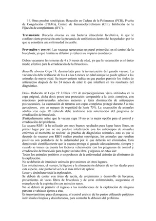16. Otras pruebas serológicas: Reacción en Cadena de la Polimerasa (PCR), Prueba
de Coagulación (COAG), Conteo de Inmunoelectroforesis (CIE), Inhibición de la
Fijación de complemento (IFC’).

Tratamiento: Brucella abortus es una bacteria intracelular facultativa, lo que le
confiere cierta protección ante la presencia de antibióticos dentro del hospedador, por lo
que se considera una enfermedad incurable.

Prevención y control: Las vacunas representan un papel primordial en el control de la
brucelosis, ya que limitan su difusión y reducen su impacto económico.

Deben vacunarse las terneras de 4 a 5 meses de edad, ya que la vacunación es el único
medio efectivo para la erradicación de la Brucelosis.

Brucella abortus Cepa 19: desarrollada para la inmunización del ganado vacuno. La
vacunación debe realizarse de los 4 a los 6 meses de edad aunque se puede aplicar a los
animales de mayor edad. Su inconveniente radica en que pueden persistir los títulos de
anticuerpos después de los 24 meses de edad lo que interfiere en los resultados del
diagnóstico.

Dosis Reducida de Cepa 19: Utiliza 1/25 de microorganismos vivos utilizados en la
cepa original, dicha dosis posee una protección comparable a la dosis completa, con
reacciones postvacunales adversas menores y lenta disminución de anticuerpos
postvacunales. La vacunación de terneras con cepas completas protege durante 5 o más
gestaciones, con un margen de seguridad de hasta 75%. La vacunación de animales
adultos con cepa 19 reducida debe realizarse con autorización del programa de
erradicación de brucelosis.
|Particularmente opino que la vacuna cepa 19 no es la mejor opción para el control y
erradicación del problema.
La vacuna RB51 la he utilizado con muy buenos resultados para lograr hatos libres, en
primer lugar por que no me produce interferencia con los anticuerpos de animales
enfermos al momento de realizar las pruebas de diagnóstico normales, esto es que si
después de vacunar con RB51 realizo pruebas serológicas, los animales que resulten
positivos son portadores de la enfermedad por lo que deberán ser eliminados. Está
demostrado científicamente que la vacuna protege al ganado adecuadamente, siempre y
cuando se tomen en cuenta los factores relacionados con los programas de control y
erradicación de brucelosis para lograr un hato libre, y algunos de estos son:
Todos los animales positivos o sospechosos de la enfermedad deberán de eliminarse de
la explotación.
No se deberán de introducir animales provenientes de otros lugares.
Las instalaciones, el manejo, la higiene y la alimentación deberán de ser las ideales para
esta especie, este punto tal vez es el más difícil de aplicar.
Lavar y desinfectar toda la explotación.
Se deberá de contar con áreas de recría, de crecimiento y desarrollo de becerras,
provenientes de vacas libres de brucelosis y de otras enfermedades, asegurando el
reemplazo de la explotación con animales sanos.
No se deberá de permitir el ingreso a las instalaciones de la explotación de ninguna
persona o vehículo ajenos a esta.
Es importantísimo para el programa, el control estricto de los partos utilizando parideros
individuales limpios y desinfectados, para controlar la difusión del problema.
 