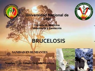 Universidad Nacional de
Loja
Carrera de Medicina
Veterinaria y Zootecnia
BRUCELOSIS
SANIDADENRUMIANTES
Nombre:LuisAntonioDelgadoMendoza
 