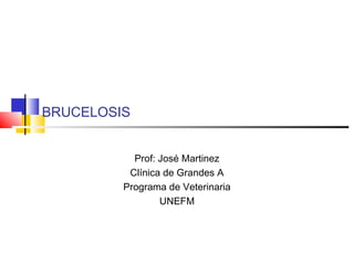 BRUCELOSIS
Prof: José Martinez
Clínica de Grandes A
Programa de Veterinaria
UNEFM
 