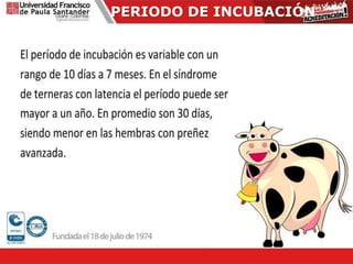 PERIODO DE INCUBACIÓN
 