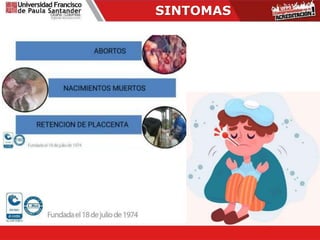 SINTOMAS
 