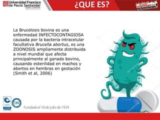 ¿QUE ES?
La Brucelosis bovina es una
enfermedad INFECTOCONTAGIOSA
causada por la bacteria intracelular
facultativa Brucella abortus, es una
ZOONOSIS ampliamente distribuida
a nivel mundial que afecta
principalmente al ganado bovino,
causando esterilidad en machos y
abortos en hembras en gestación
(Smith et al, 2006)
 