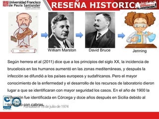 RESEÑA HISTORICA
William Marston David Bruce Jenning
Según herrera et al (2011) dice que a los principios del siglo XX, la incidencia de
brucelosis en los humanos aumentó en las zonas mediterráneas, y después la
infección se difundió a los países europeos y sudafricanos. Pero el mayor
conocimiento de la enfermedad y el desarrollo de los recursos de laboratorio dieron
lugar a que se identificaran con mayor seguridad los casos. En el año de 1900 la
infección fue identificada en Córcega y doce años después en Sicilia debido al
contacto con cabras.
 