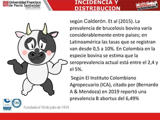 INCIDENCIA Y
DISTRIBUCION
según Calderón. Et al (2015). La
prevalencia de brucelosis bovina varía
considerablemente entre países; en
Latinoamérica las tasas que se registran
van desde 0,5 a 10%. En Colombia en la
especie bovina se estima que la
seroprevalencia actual está entre el 2,4 y
el 5%.
Según El Instituto Colombiano
Agropecuario (ICA), citado por (Bernardo
A & Mendoza) en 2019 reportó una
prevalencia B abortus del 6,49%
 