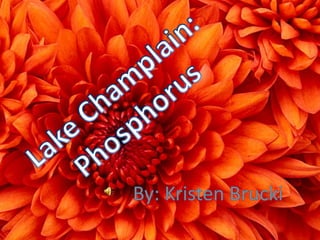 Lake Champlain: Phosphorus By: Kristen Brucki 