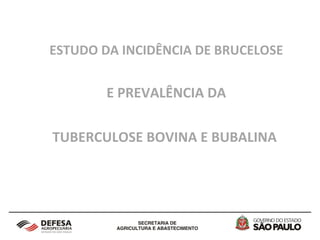 ESTUDO DA INCIDÊNCIA DE BRUCELOSE E PREVALÊNCIA DA  TUBERCULOSE BOVINA E BUBALINA  