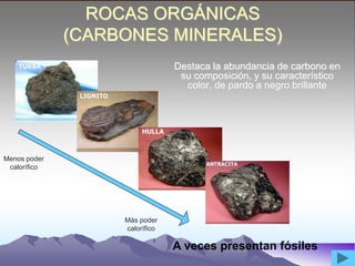 ROCAS ORGÁNICAS
(CARBONES MINERALES)
Destaca la abundancia de carbono en
su composición, y su característico
color, de pardo a negro brillante
Menos poder
calorífico
A veces presentan fósiles
Más poder
calorífico
 