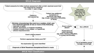 Brue | PDF