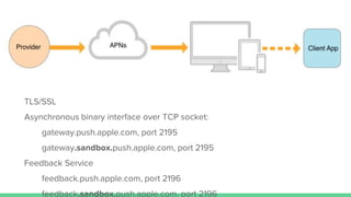 TLS/SSL
Asynchronous binary interface over TCP socket:
gateway.push.apple.com, port 2195
gateway.sandbox.push.apple.com, port 2195
Feedback Service
feedback.push.apple.com, port 2196
feedback.sandbox.push.apple.com, port 2196
 