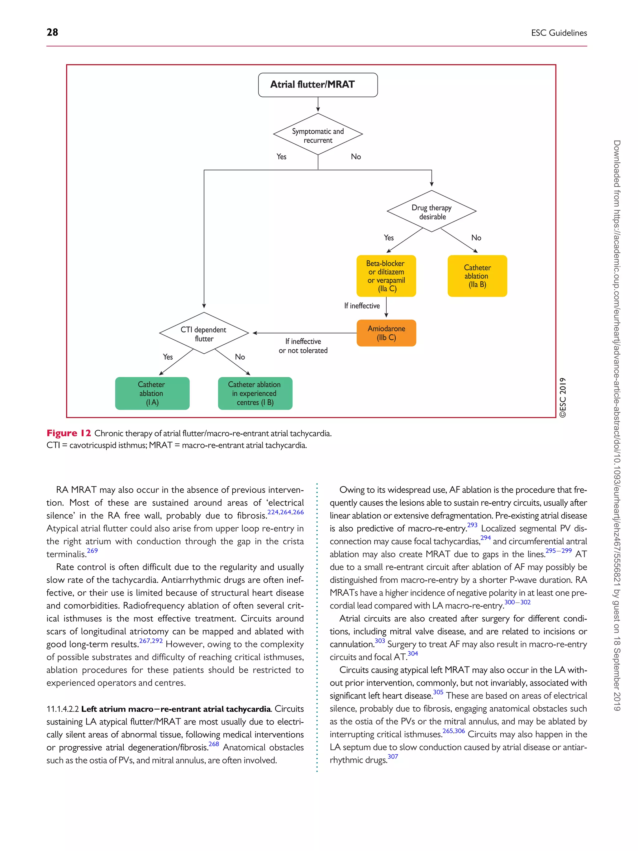 Bruagda Algorithm Brugada 2020--esc-guidelines-for-the-management-supraventricular ...