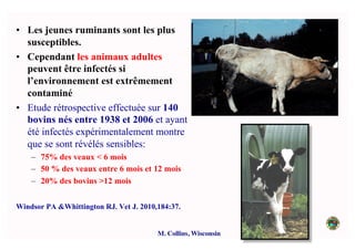 •  Les jeunes ruminants sont les plus
susceptibles.
•  Cependant les animaux adultes
peuvent être infectés si
l’environnement est extrêmement
contaminé
•  Etude rétrospective effectuée sur 140
bovins nés entre 1938 et 2006 et ayant
été infectés expérimentalement montre
que se sont révélés sensibles:
–  75% des veaux < 6 mois
–  50 % des veaux entre 6 mois et 12 mois
–  20% des bovins >12 mois
Windsor PA &Whittington RJ. Vet J. 2010,184:37.
M. Collins, Wisconsin	

 