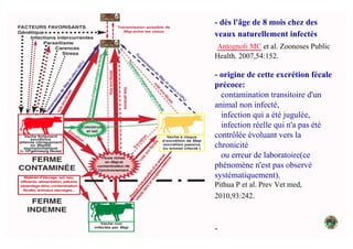 - dès l'âge de 8 mois chez des
veaux naturellement infectés
Antognoli MC et al. Zoonoses Public
Health. 2007,54:152.
- origine de cette excrétion fécale
précoce:
contamination transitoire d'un
animal non infecté,
infection qui a été jugulée,
infection réelle qui n'a pas été
contrôlée évoluant vers la
chronicité
ou erreur de laboratoire(ce
phénomène n'est pas observé
systématiquement).
Pithua P et al. Prev Vet med,
2010,93:242.
-
 