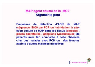 A. Cortot, CHU de Lille	

MAP agent causal de la MC? 
Arguments pour 
Fréquence de détection d’ADN de MAP
(séquence IS900 par PCR ou hybridation in situ)
et/ou culture de MAP dans les tissus (biopsies ,
pièces opératoires , ganglions lymphatiques) de
patients avec MC comparée à celle observée
chez des malades avec RCH ou des témoins
atteints d’autres maladies digestives!
A. Cortot, CHU de Lille	

 