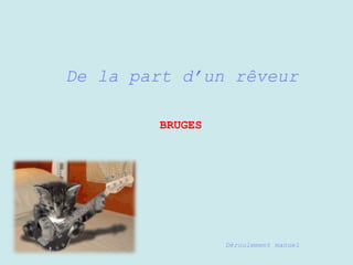 De la part d’un rêveur
BRUGES
Déroulement manuel