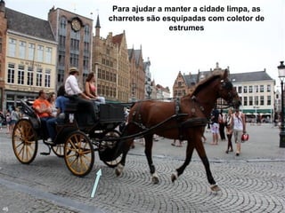 Para ajudar a manter a cidade limpa, as
charretes são esquipadas com coletor de
estrumes
46
 