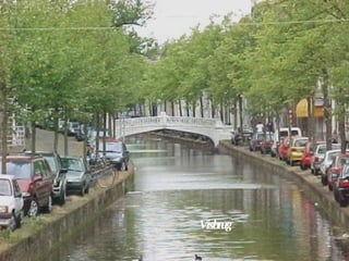 Visbrug 