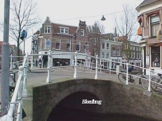 Bloedbrug 