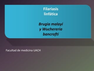 Filariasis
linfática
Brugia malayi
y Wuchereria
bancrofti

Facultad de medicina UACH

 