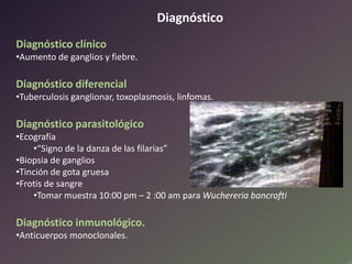 Diagnóstico
Diagnóstico clínico
•Aumento de ganglios y fiebre.

Diagnóstico diferencial
•Tuberculosis ganglionar, toxoplasmosis, linfomas.

Diagnóstico parasitológico
•Ecografía
•“Signo de la danza de las filarias”
•Biopsia de ganglios
•Tinción de gota gruesa
•Frotis de sangre
•Tomar muestra 10:00 pm – 2 :00 am para Wuchereria bancrofti

Diagnóstico inmunológico.
•Anticuerpos monoclonales.

 